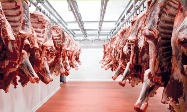 ارتفاع أسعار بيع اللحوم الحمراء بالمغرب