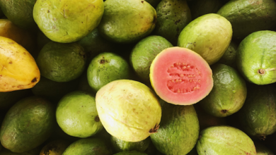 فاكهة الجوافة: أبرز 7 من فوائد الجوافة للجسم، وأضرارها